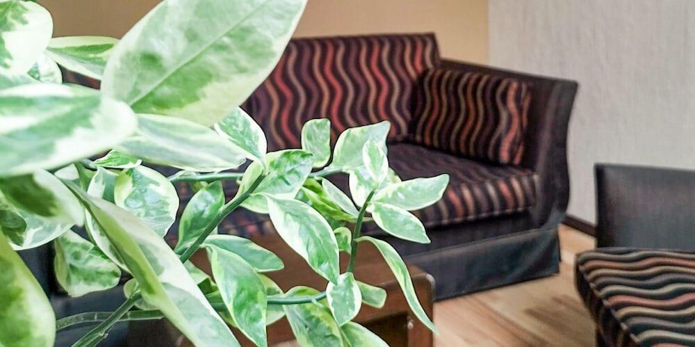 לאון Hotel Terranova מראה חיצוני תמונה